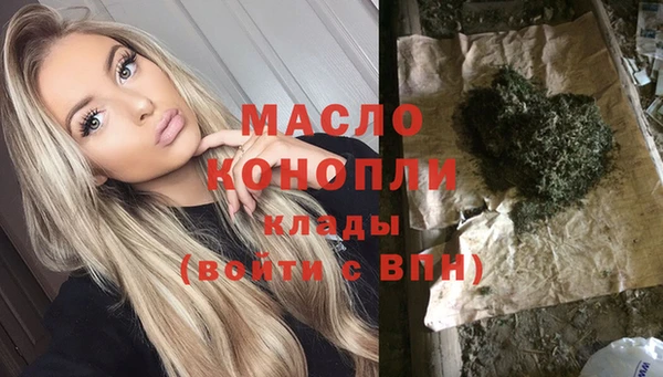 индика Армянск