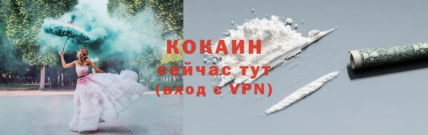 индика Армянск