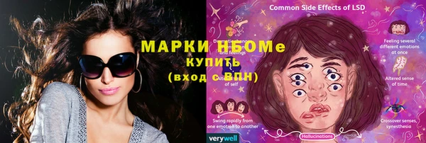 индика Армянск