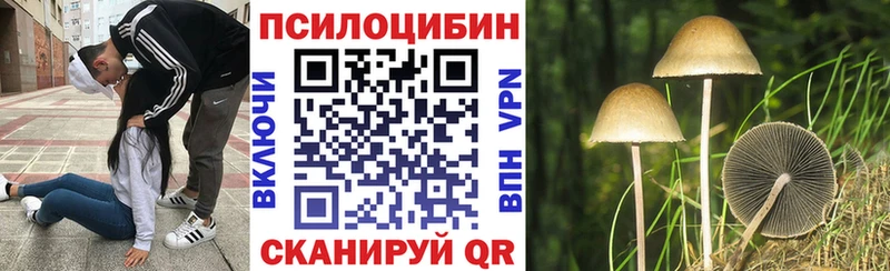 Псилоцибиновые грибы мицелий  хочу наркоту  Балей 